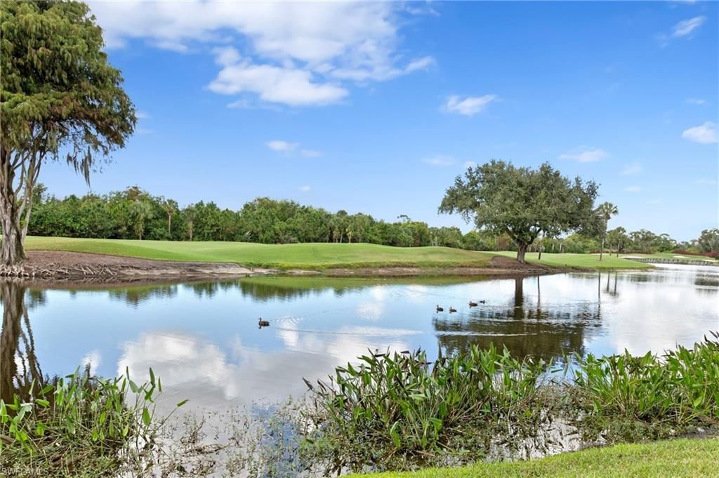 8291 Grand Palm Dr, Unit 4, Estero, FL 33967 Photo