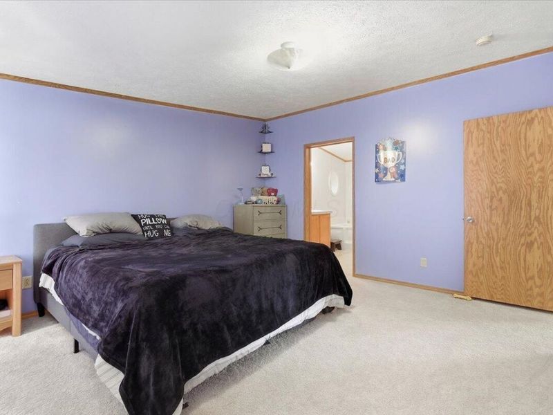 3635 Township Road 26, Cardington, OH 43315 Photo 17