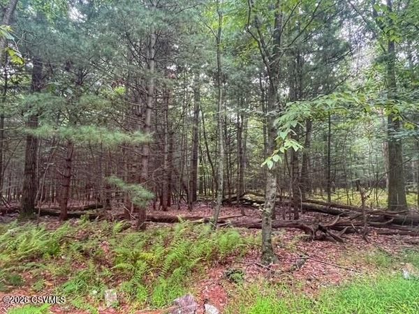 LOT 1 WOODCREST Drive, Northumberland, PA 17857