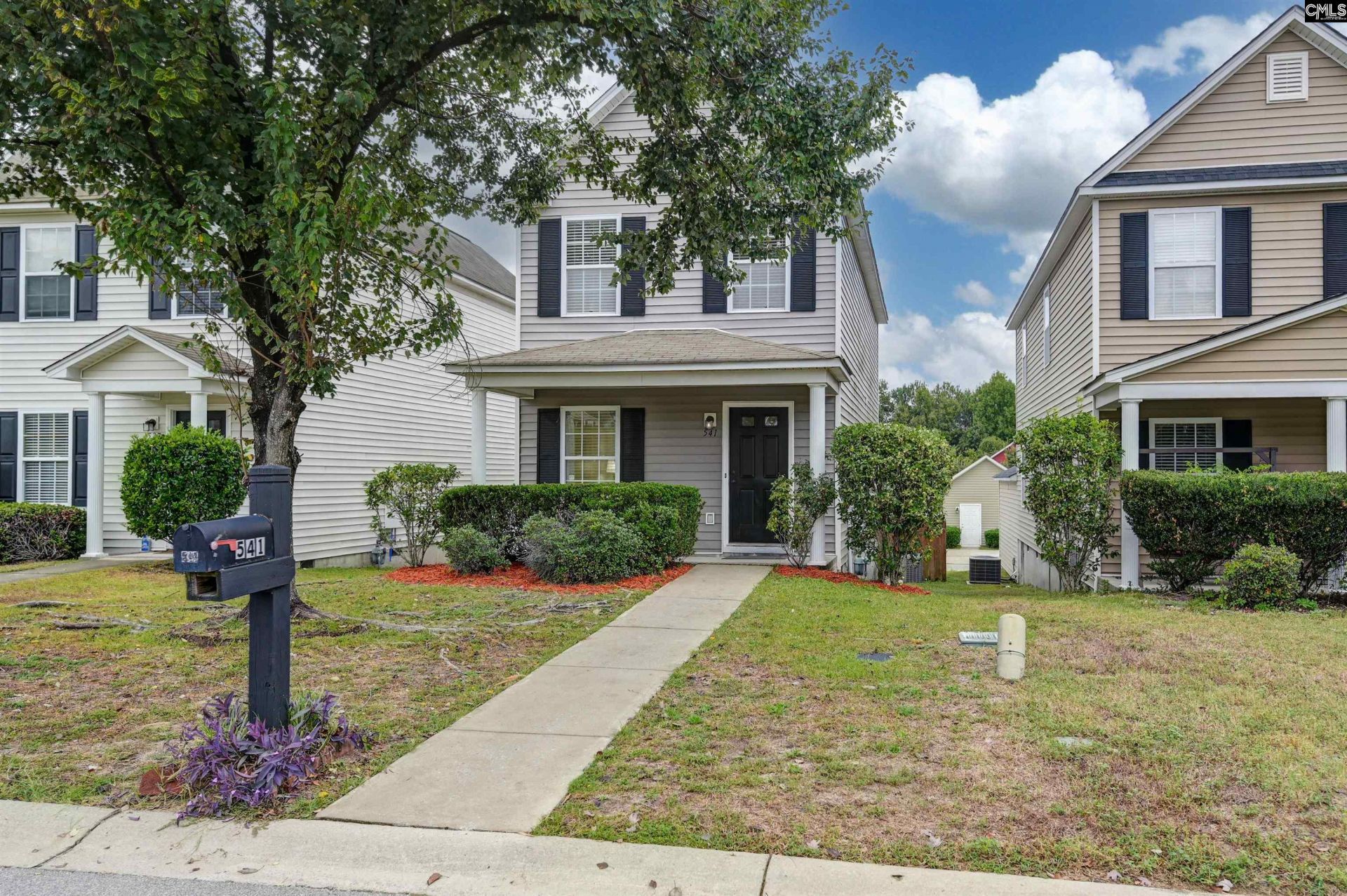 541 Scarlet Sage Lane Photo 33