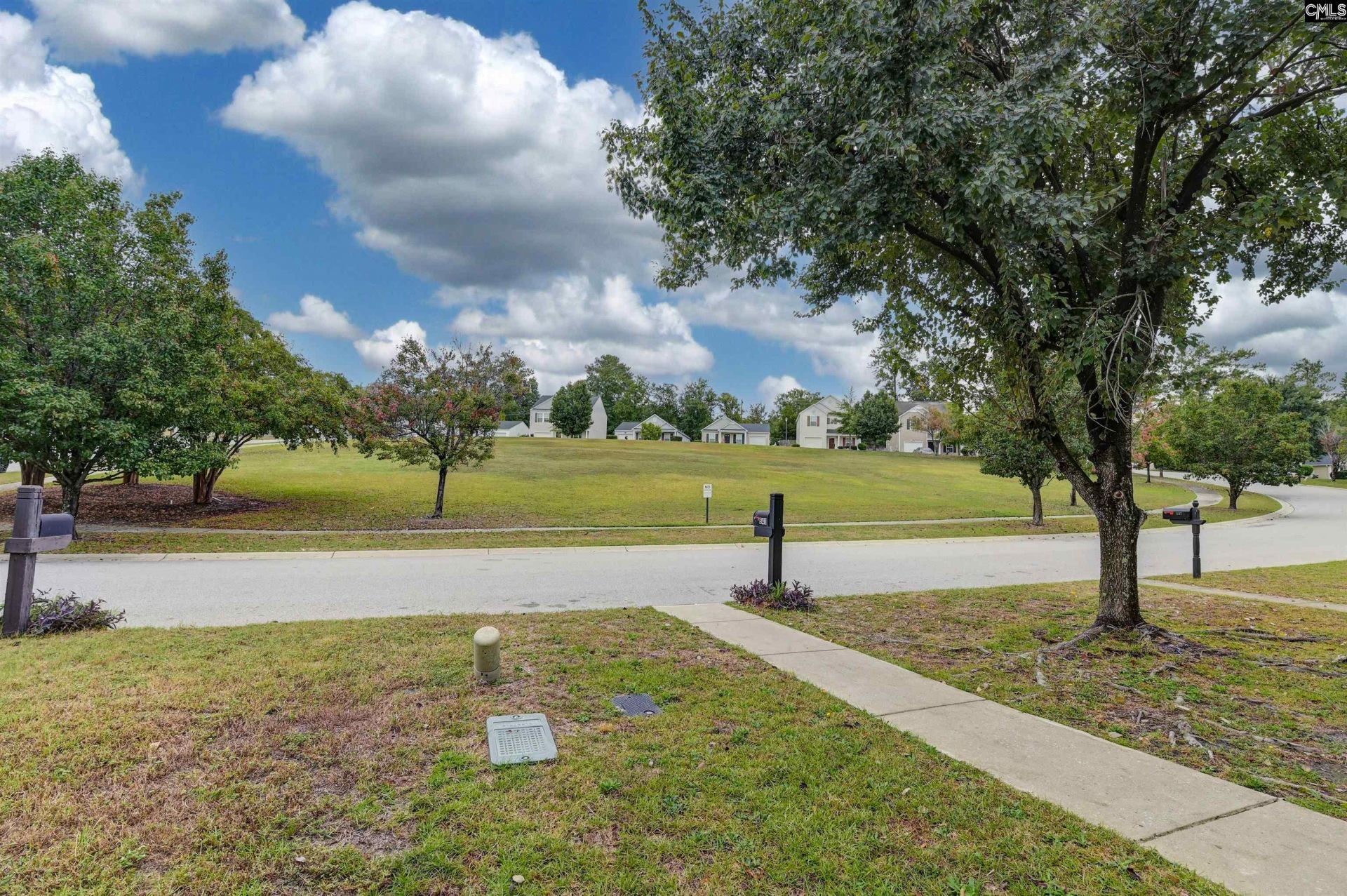 541 Scarlet Sage Lane Photo 34