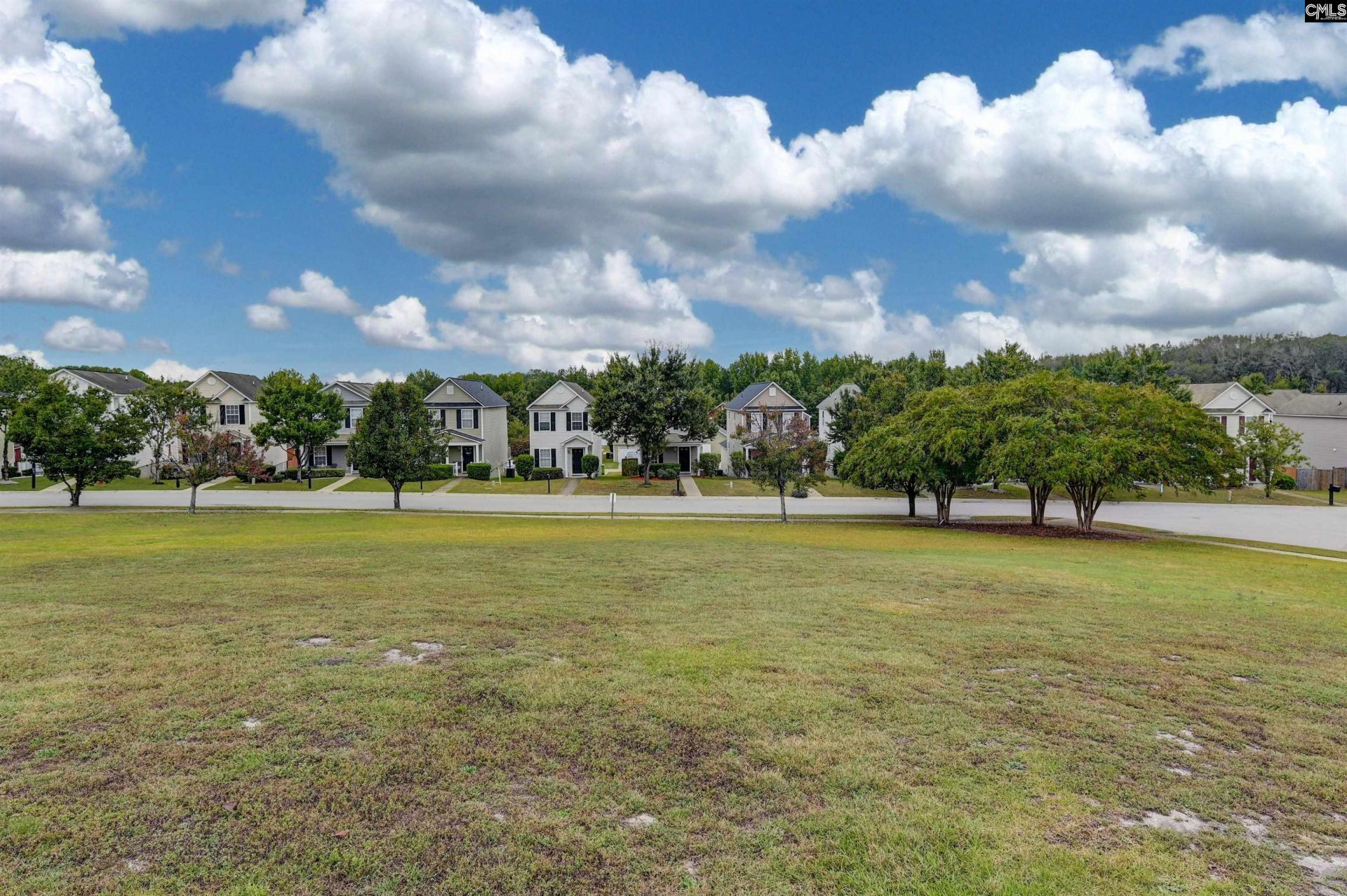 541 Scarlet Sage Lane Photo 36