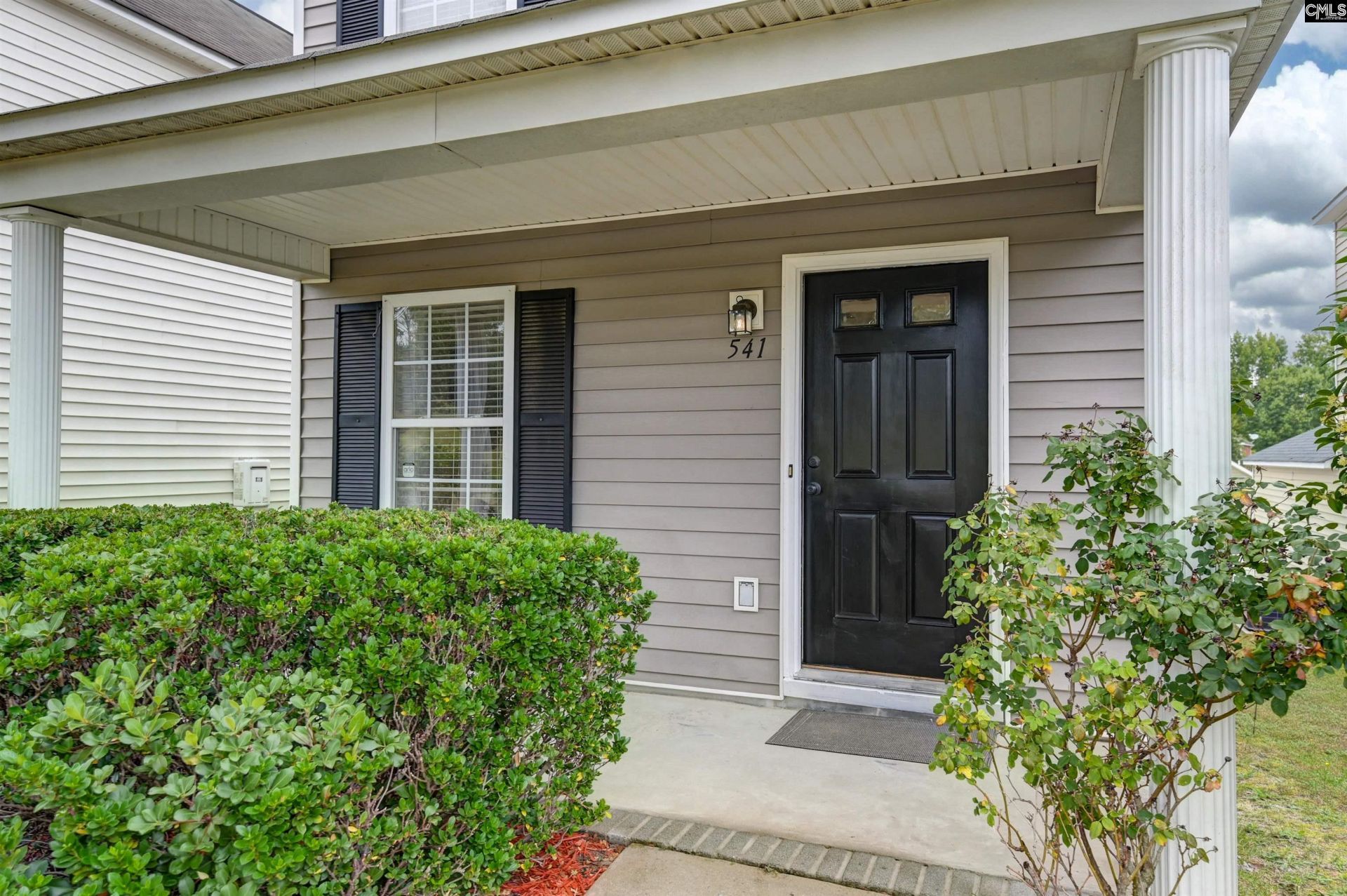 541 Scarlet Sage Lane Photo 4