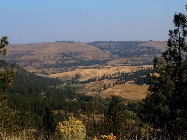 35770 Spruce Grouse N Ln, Davenport, WA 99122