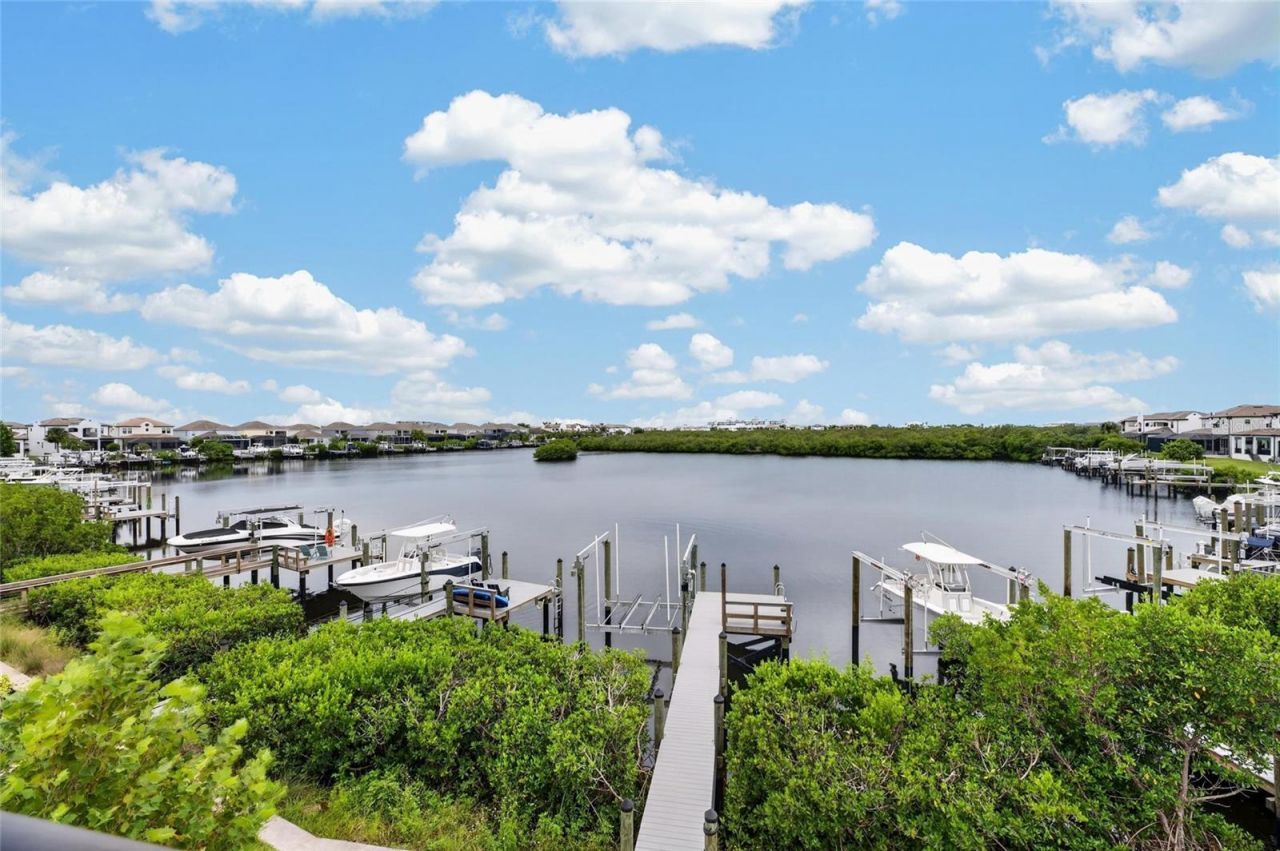 1074 Seagrape Drive, Ruskin, FL 33570 Photo