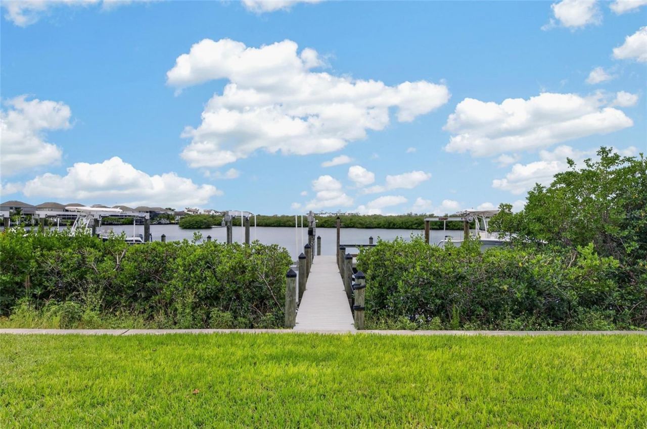 1074 Seagrape Drive, Ruskin, FL 33570 Photo