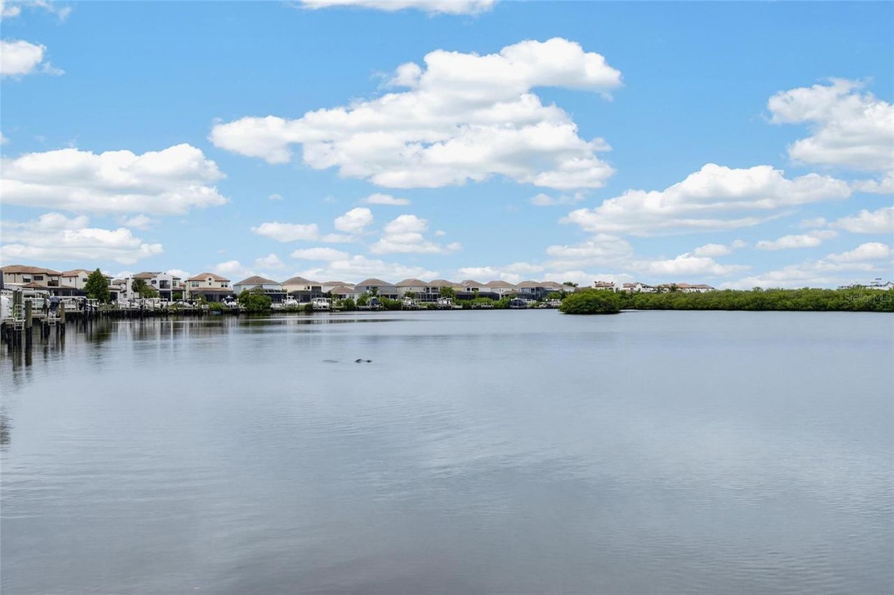1074 Seagrape Drive, Ruskin, FL 33570 Photo