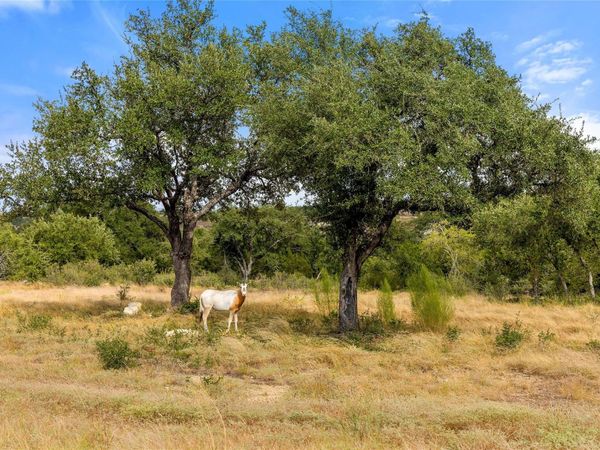 136 Legacy Hills DR, Johnson City, TX 78636