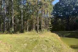 2274 Crowder Road  photo 4