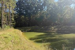 2274 Crowder Road  photo 4
