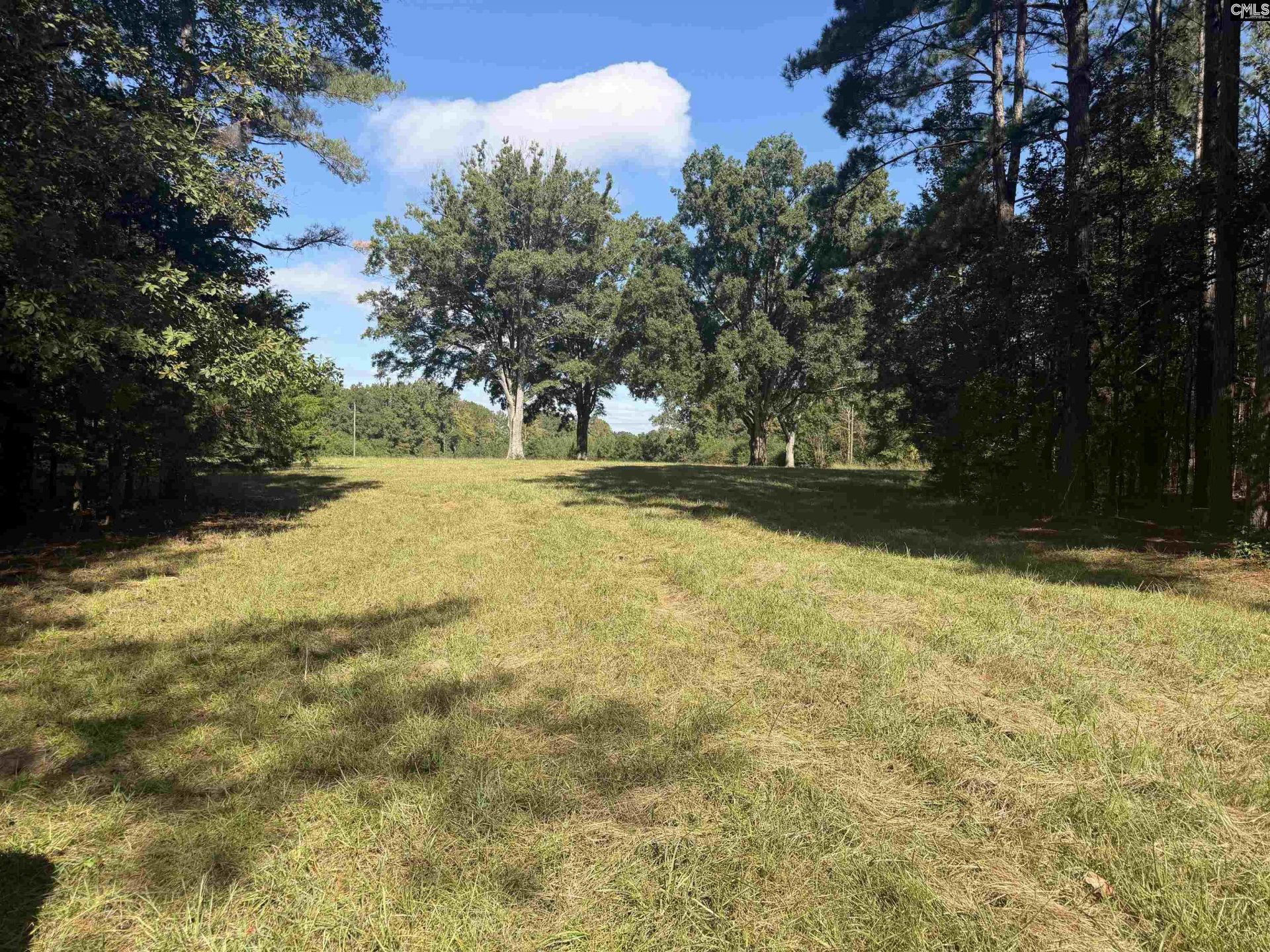 2274 Crowder Road  Photo 4