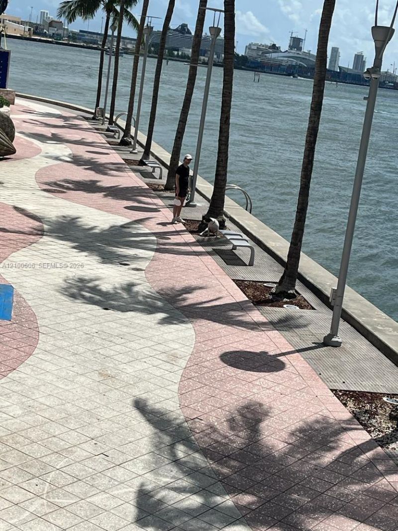 335 S Biscayne Blvd , Unit 3500, Miami, FL 33131 Photo