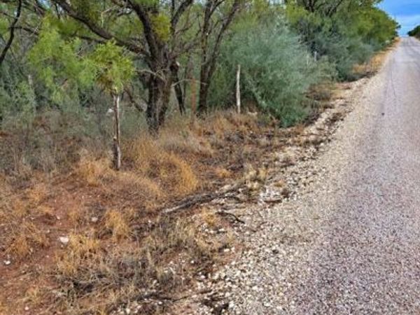 TBD CR 107, Trent, TX 79561