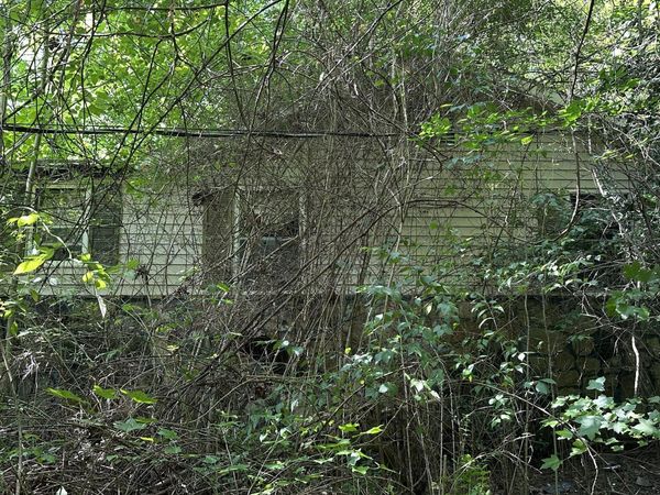 1011 Bazel Rd, Harriman, TN 37748