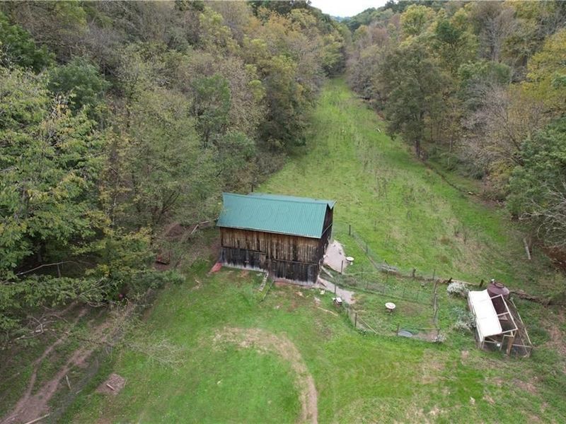 33451 Edwina Road , Lewisville, OH 43754 Photo 6
