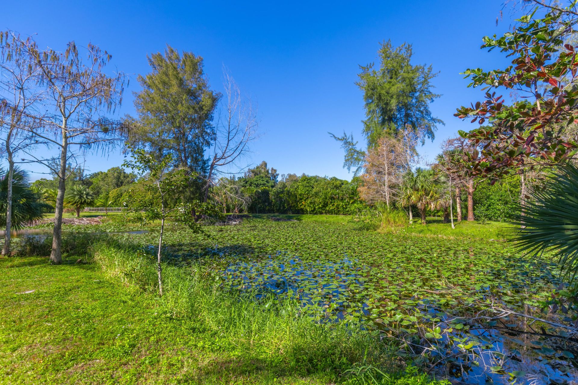 2943 B Road, Loxahatchee Groves, FL 33470 Photo