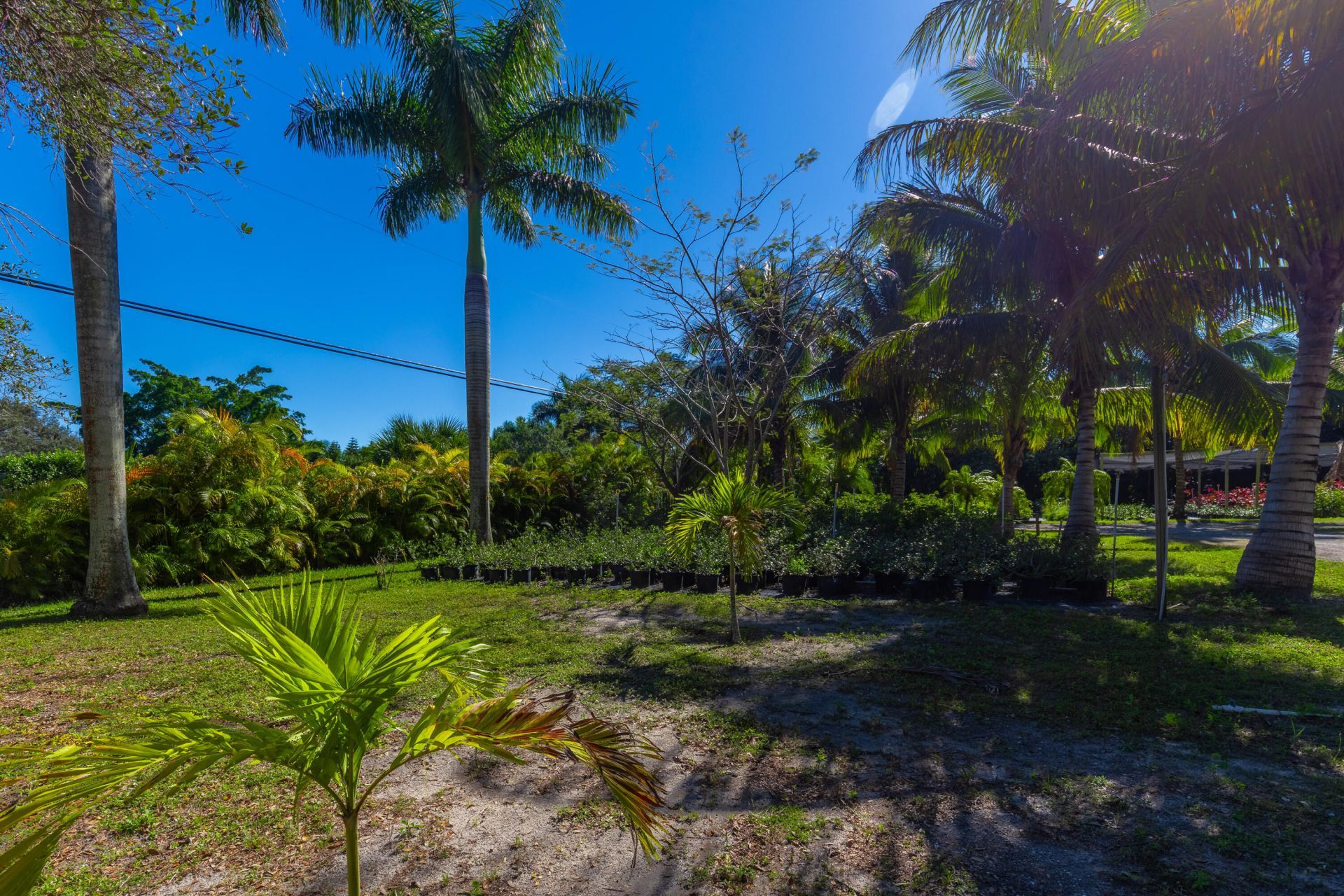 2943 B Road, Loxahatchee Groves, FL 33470 Photo