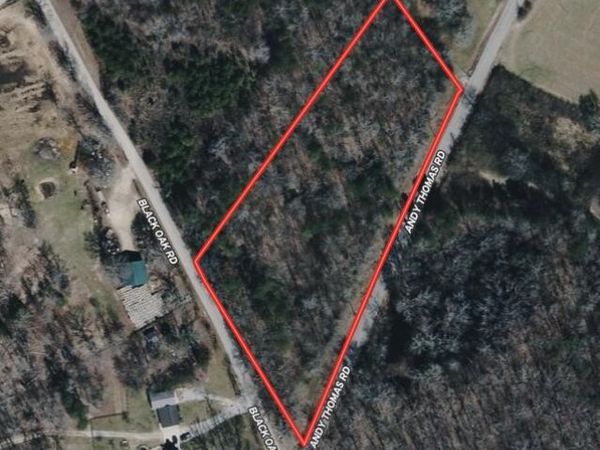 0 Andy Thomas Road, Sale Creek, TN 37373