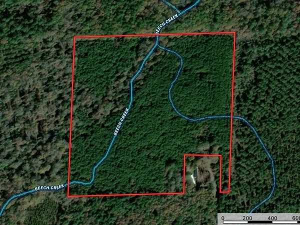 TBD 38 Acres DALLAS 429, Carthage, AR 71725