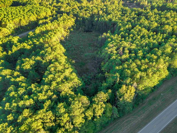 01 Hwy 13, Eldridge, AL 35554