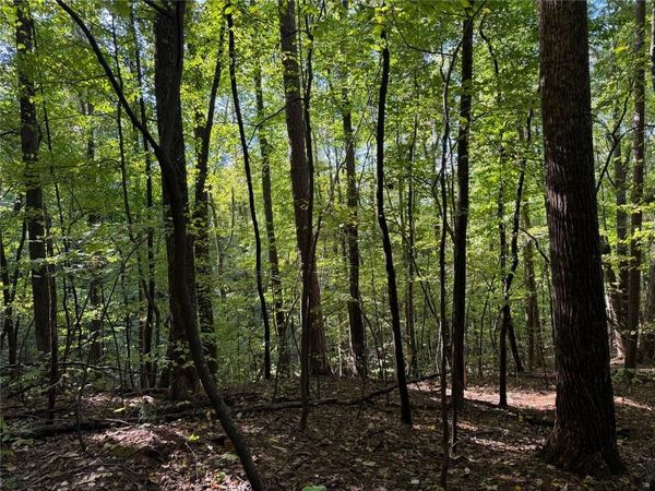 J349 Mountain View Court, Ellijay, GA 30536