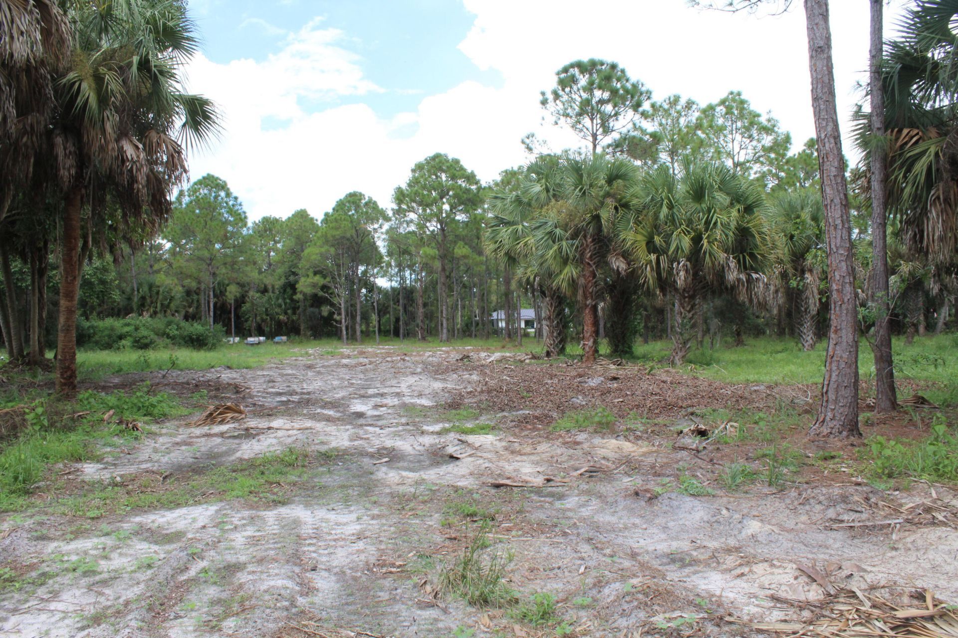 1275 Arabian Drive, Loxahatchee, FL 33470 Photo