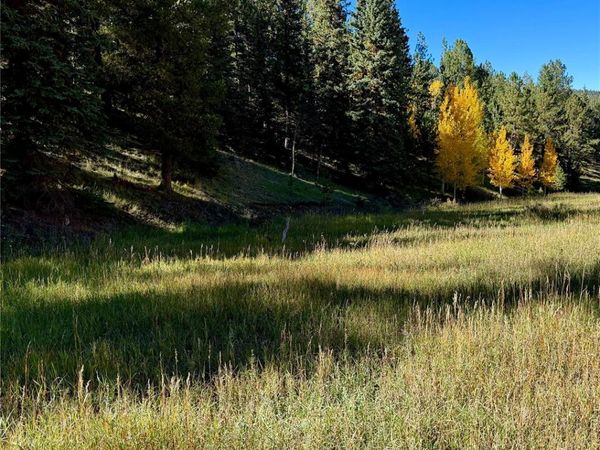 535 Willow Road, Divide, CO 80814
