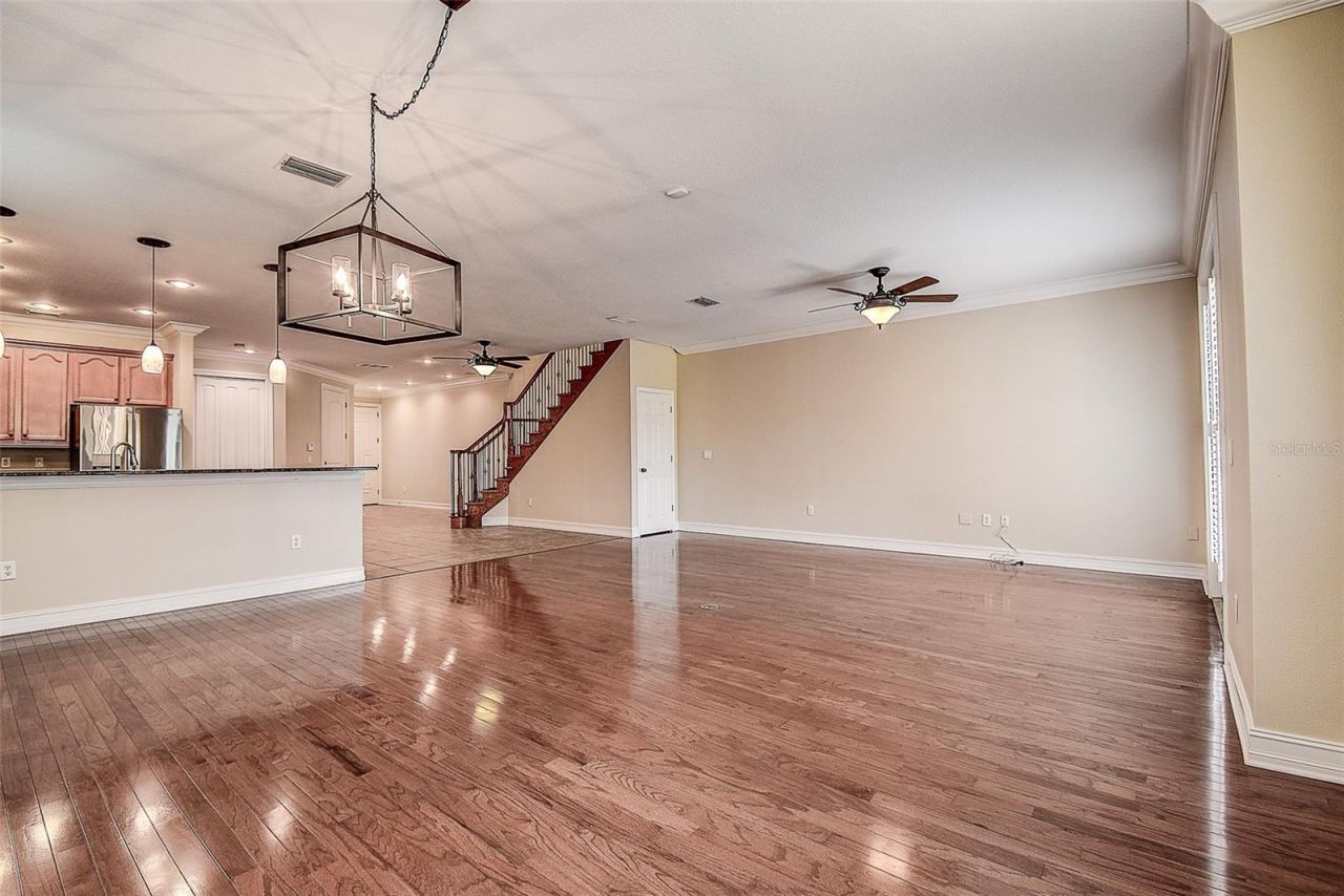 1266 Ribolla Drive, Palm Harbor, FL 34683 Photo