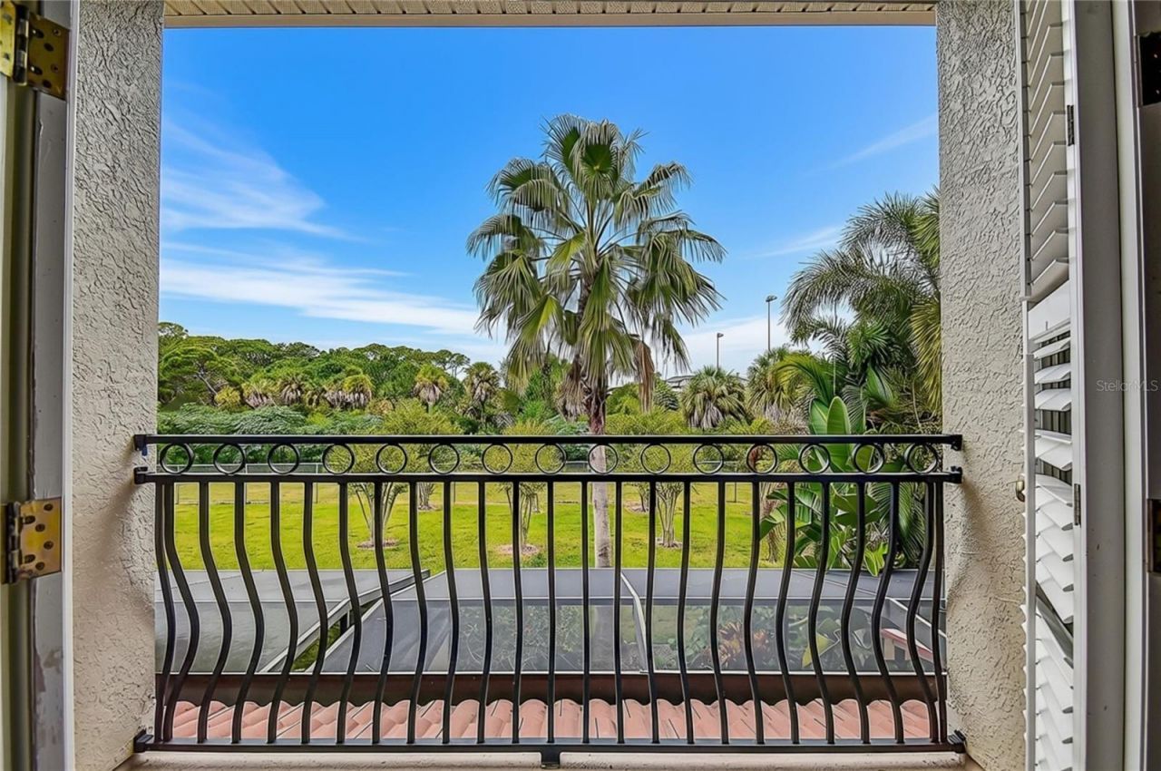 1266 Ribolla Drive, Palm Harbor, FL 34683 Photo