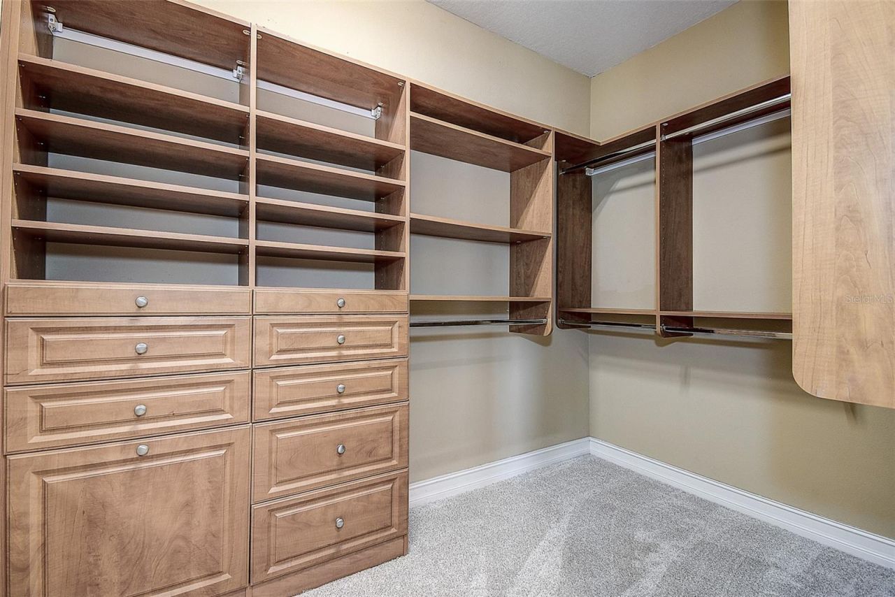 1266 Ribolla Drive, Palm Harbor, FL 34683 Photo