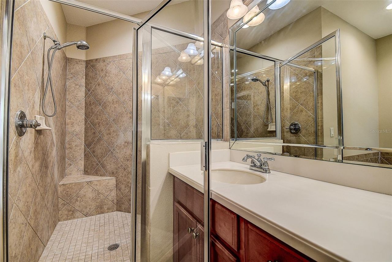 1266 Ribolla Drive, Palm Harbor, FL 34683 Photo
