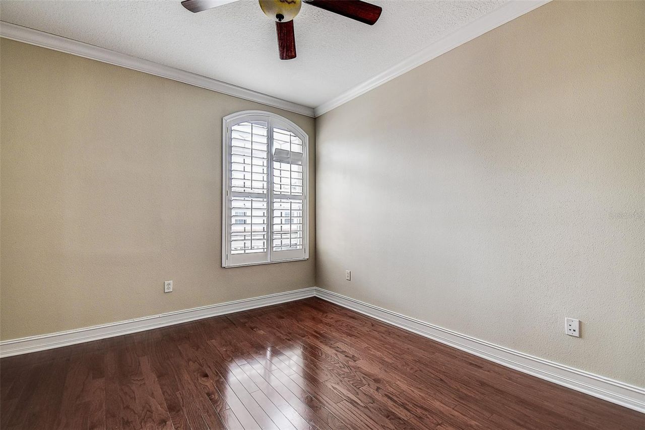 1266 Ribolla Drive, Palm Harbor, FL 34683 Photo