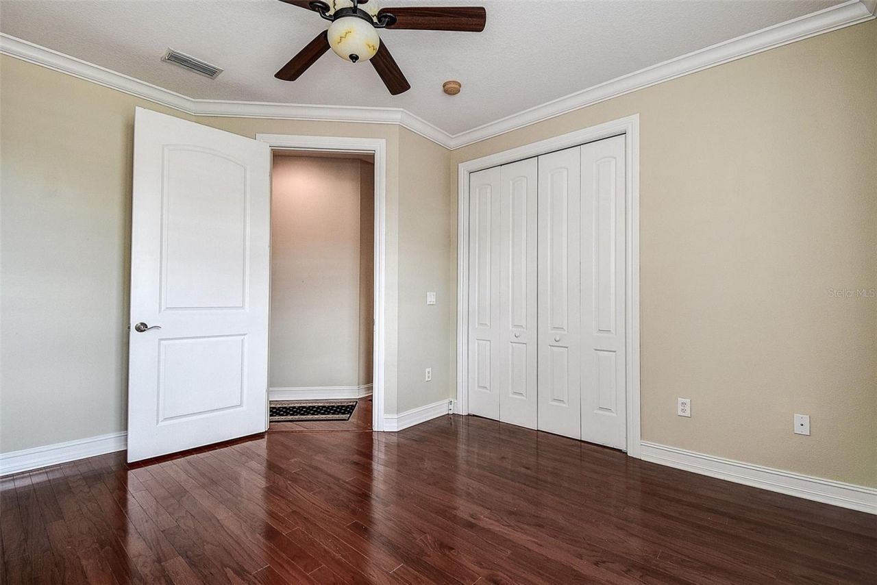 1266 Ribolla Drive, Palm Harbor, FL 34683 Photo