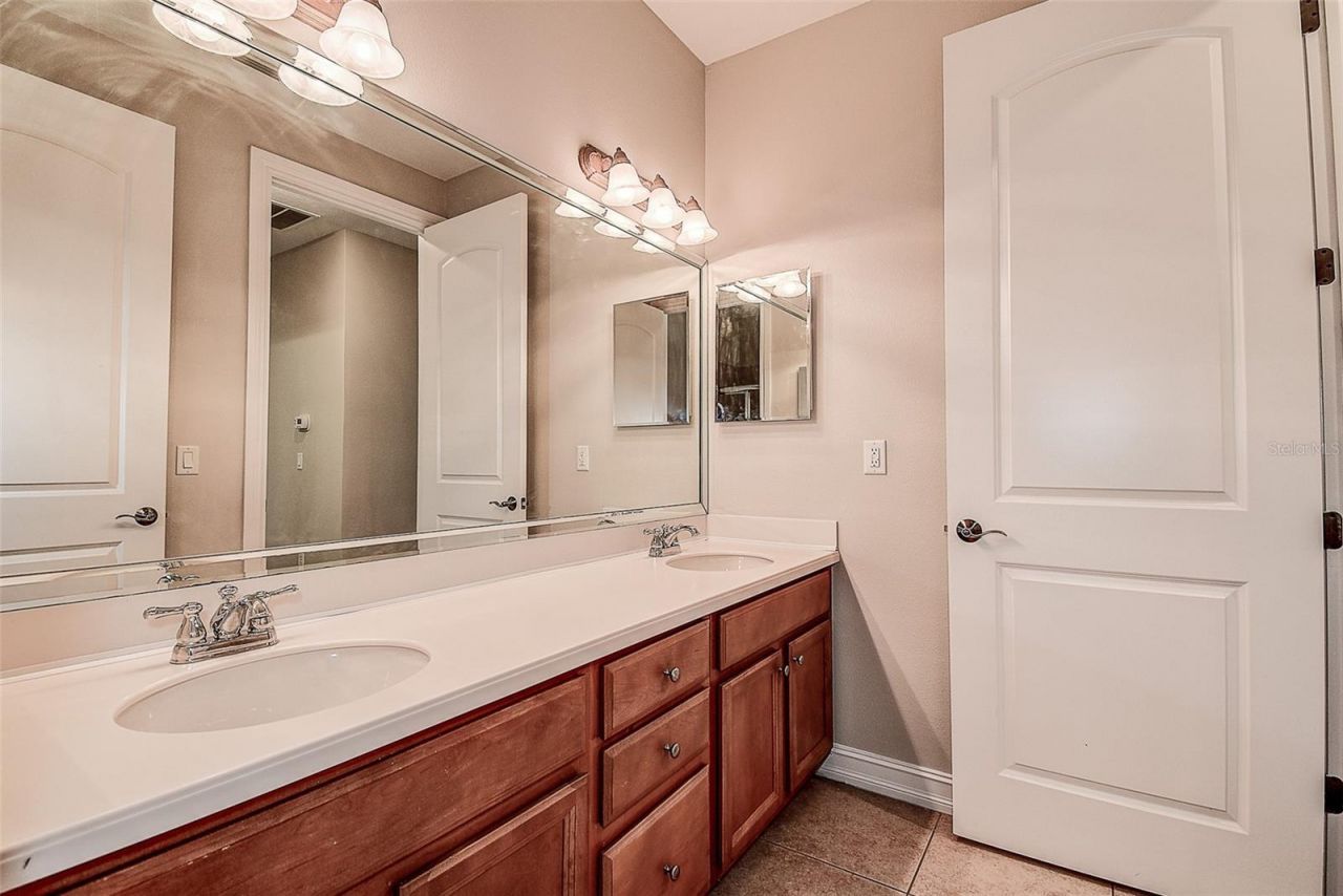 1266 Ribolla Drive, Palm Harbor, FL 34683 Photo