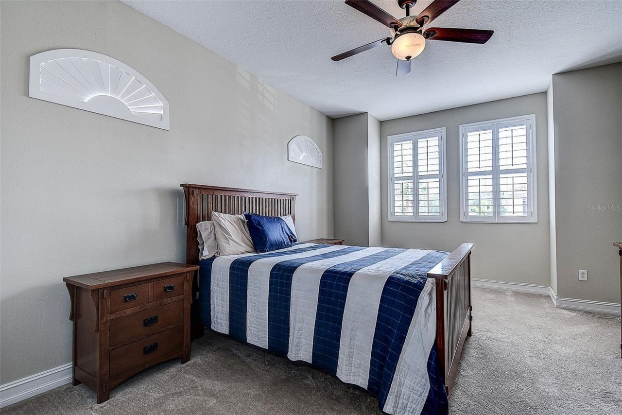 1266 Ribolla Drive, Palm Harbor, FL 34683 Photo