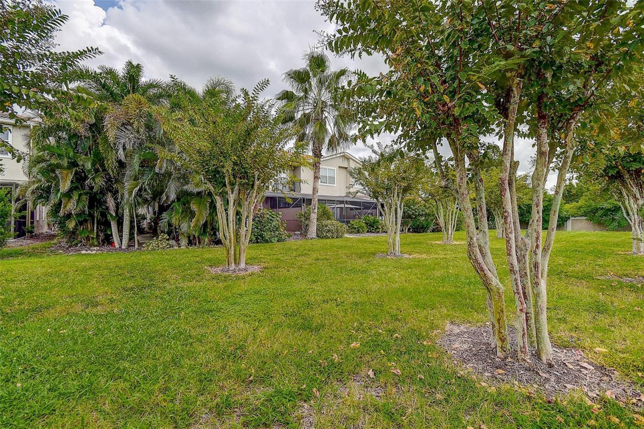 1266 Ribolla Drive, Palm Harbor, FL 34683 Photo
