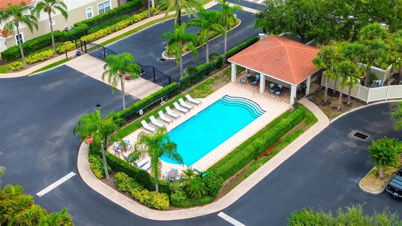 1266 Ribolla Drive, Palm Harbor, FL 34683 Photo