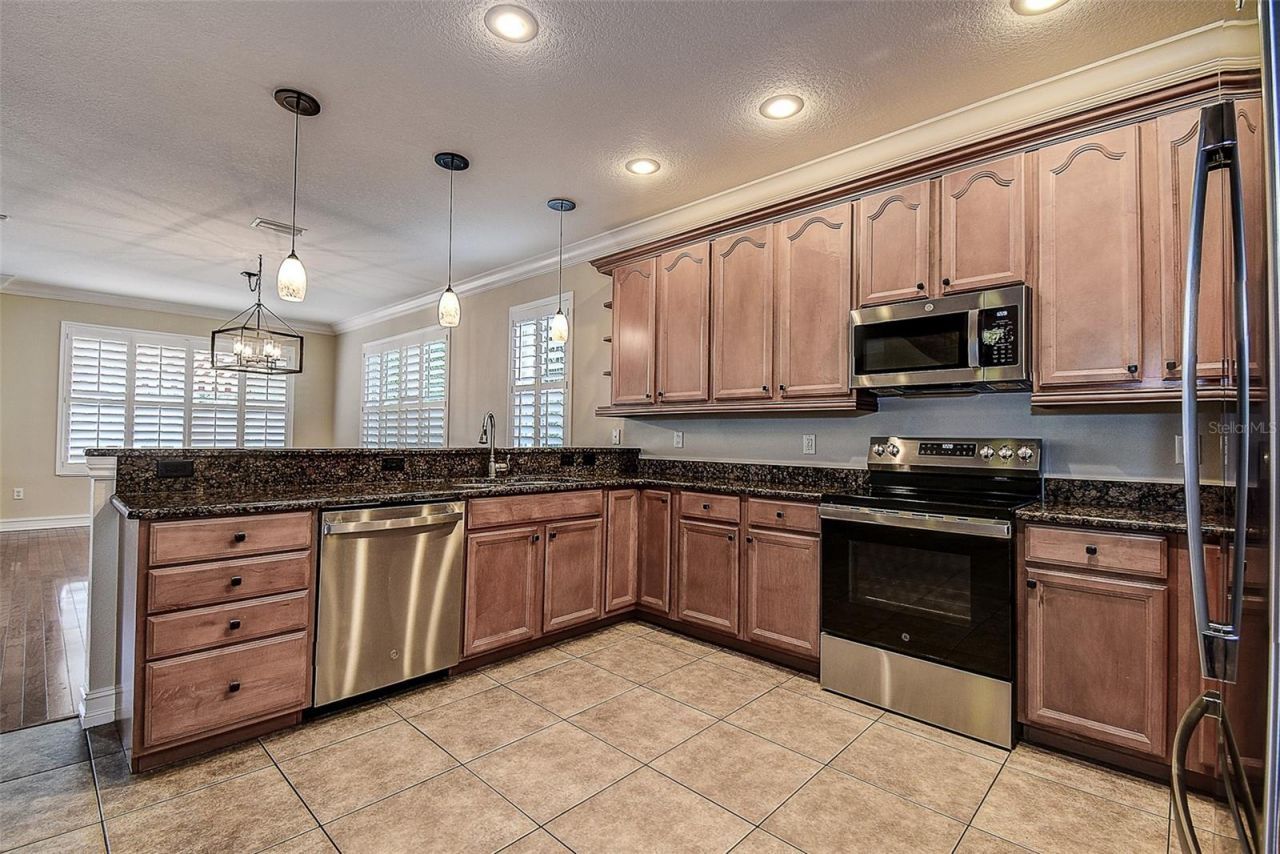 1266 Ribolla Drive, Palm Harbor, FL 34683 Photo