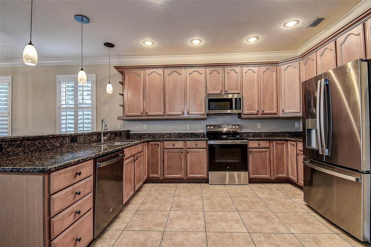 1266 Ribolla Drive, Palm Harbor, FL 34683 Photo