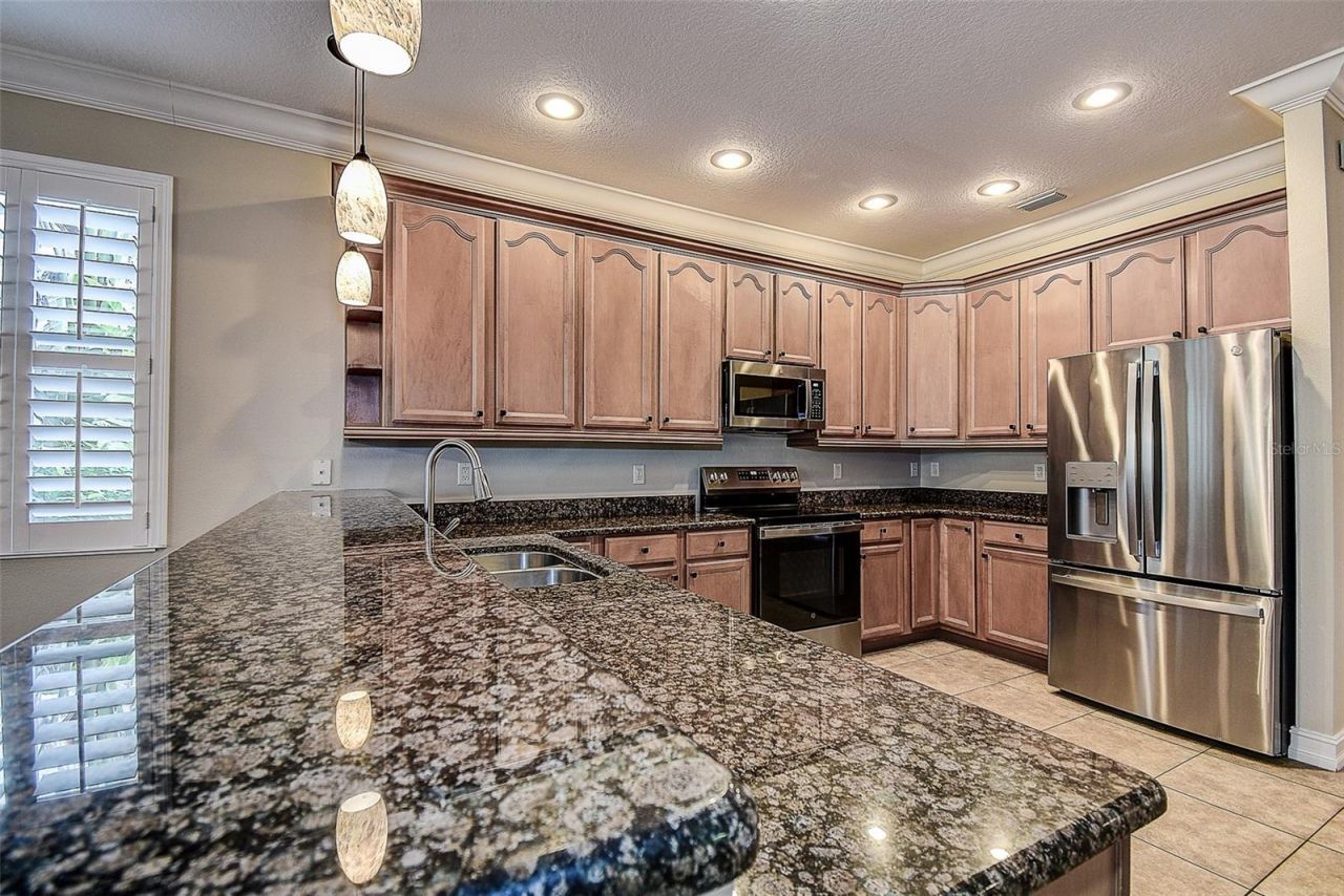 1266 Ribolla Drive, Palm Harbor, FL 34683 Photo
