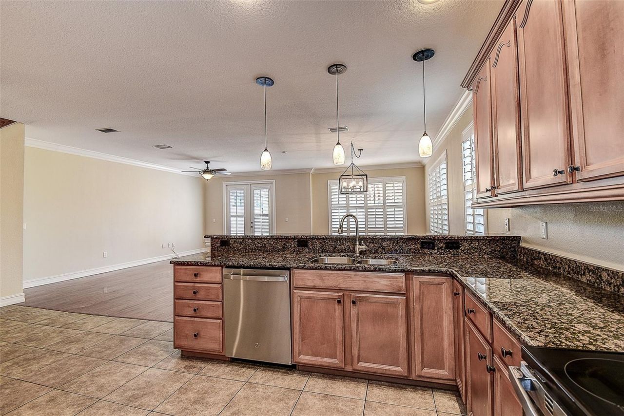 1266 Ribolla Drive, Palm Harbor, FL 34683 Photo