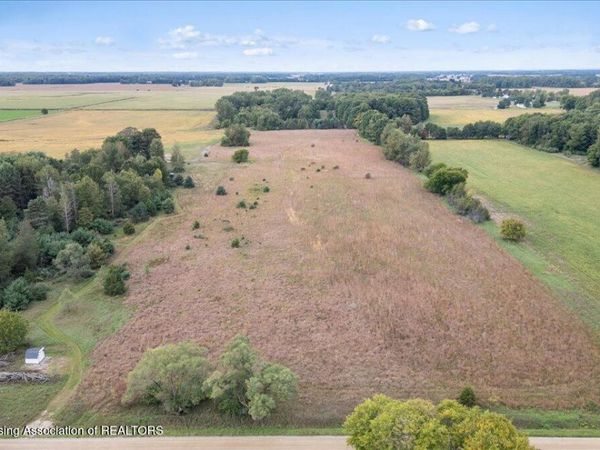 V/l Vincent Road, Elsie, MI 48831