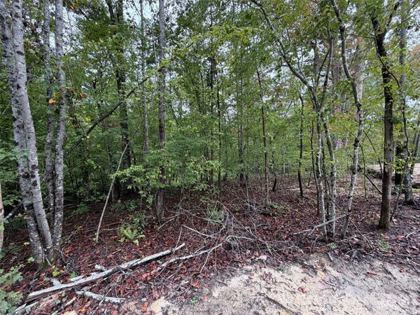 V/L W V THOMPSON Road , Rutherfordton, NC 28139
