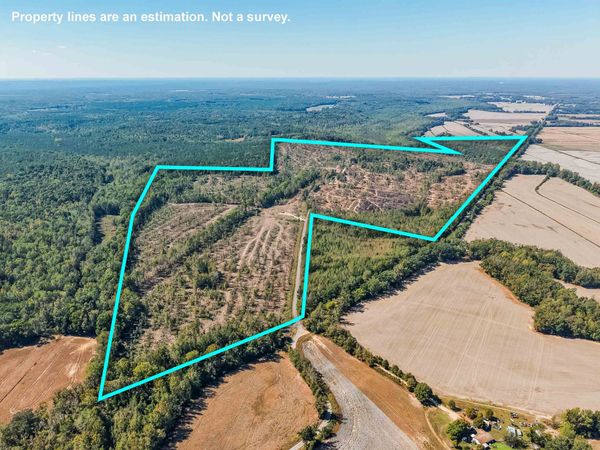 0 CAPOOTH RD, Guys, TN 38339