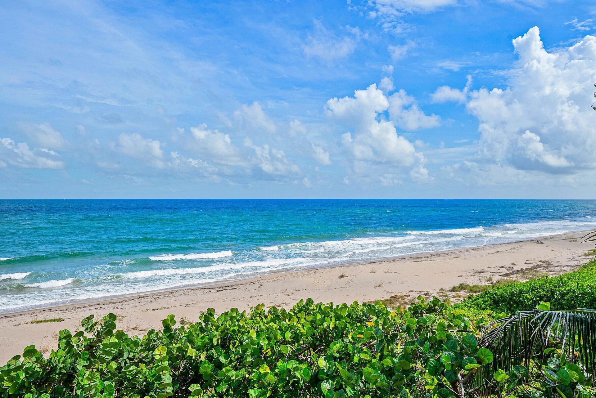 3851 N Ocean Boulevard, Unit 3110, Gulf Stream, FL 33483 Photo