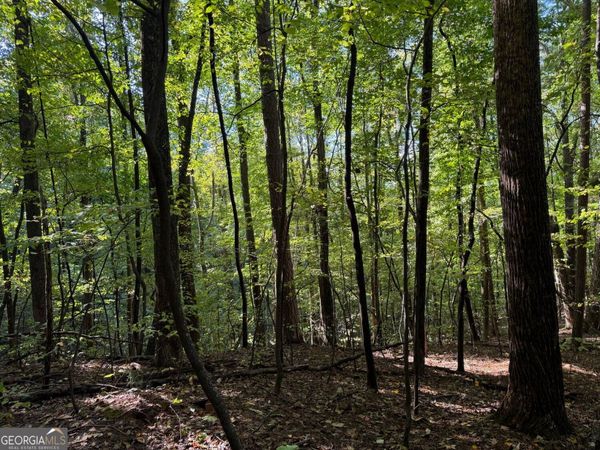 0 Mountain View Court, Ellijay, GA 30536