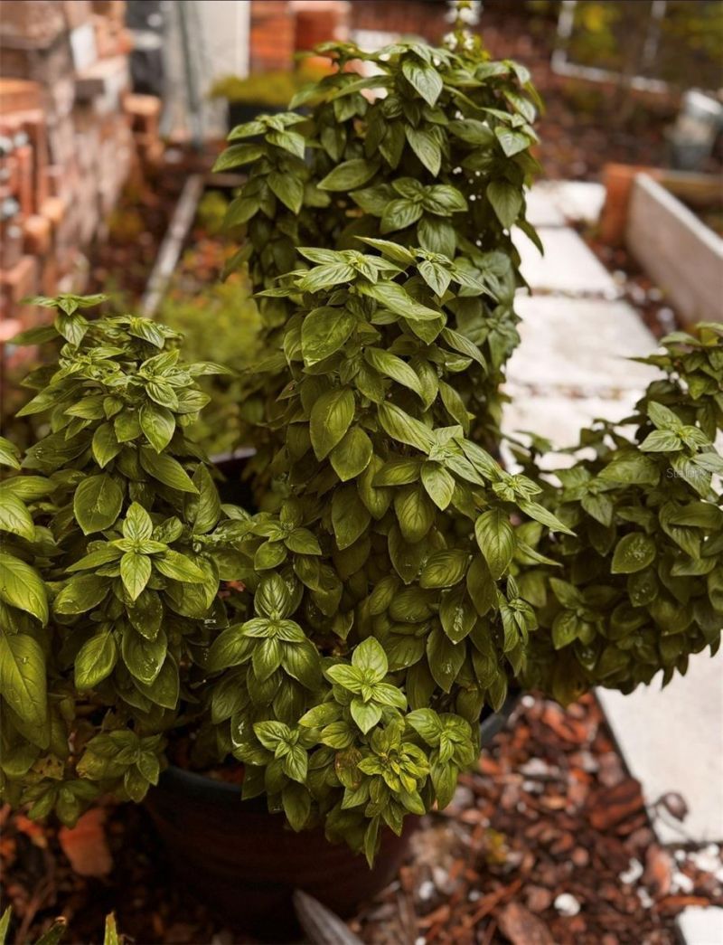 5903 River Forest Circle, Bradenton, FL 34203 Photo