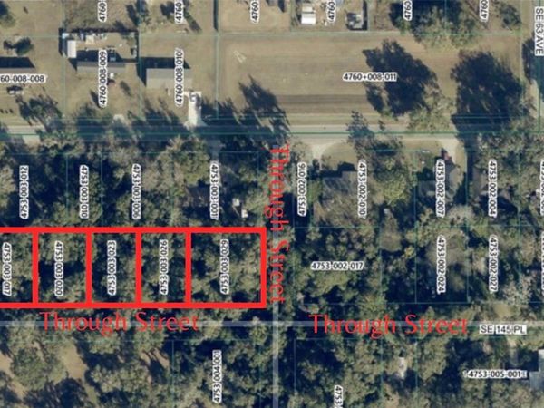 SE 145TH PLACE , SUMMERFIELD, FL 34491