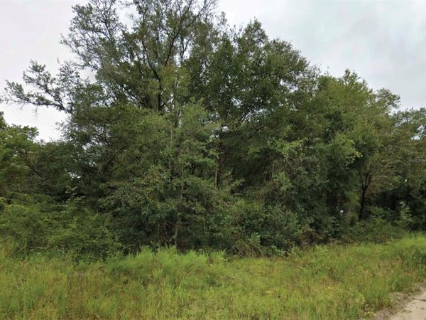 NE 2ND PLACE , WILLISTON, FL 32696