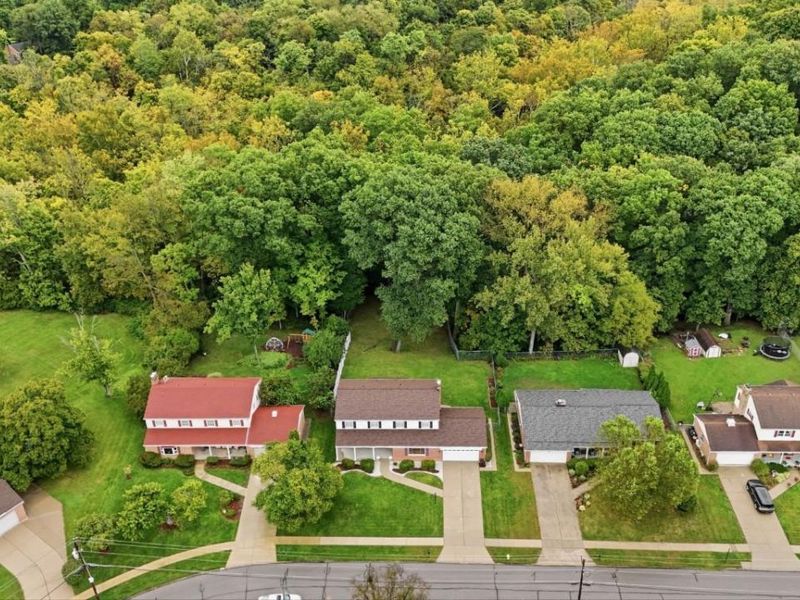 9596 Leebrook Drive, Springfield Township, OH 45231 Photo 3